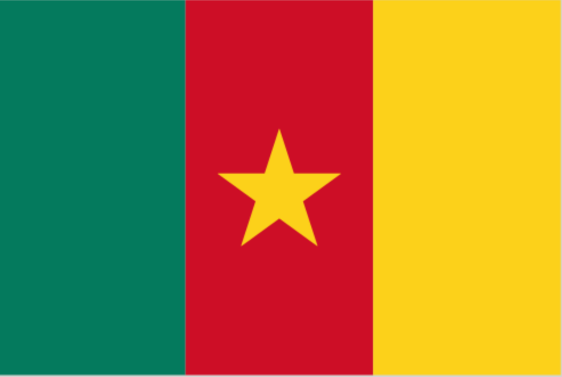 CAMEROON Flag